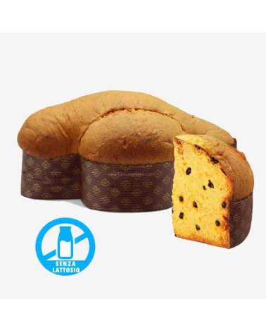 Colomba Senza Lattosio