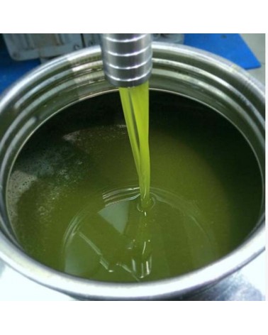 Miglior Olio Extravergine di Oliva Biologico Siciliano Premiato Online
