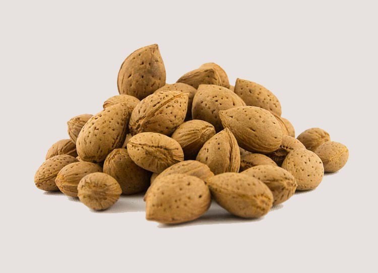 Le mandorle di Avola uno dei segreti del panettone Fiasconaro