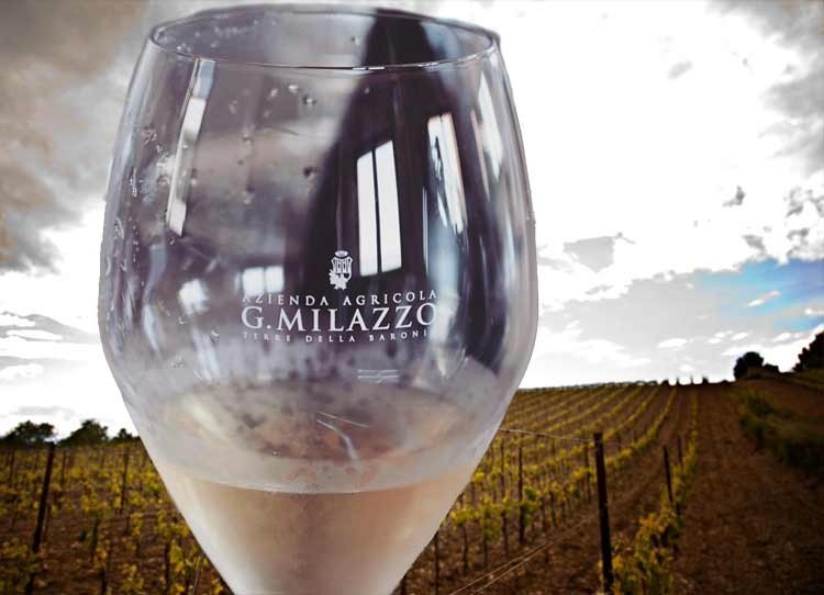 Bianco di Nera cantine Milazzo, un tesoro da tutelare