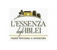 Essenza degli Iblei